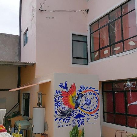 Casa El Colibri Cec Villa Tehuacán Eksteriør bilde